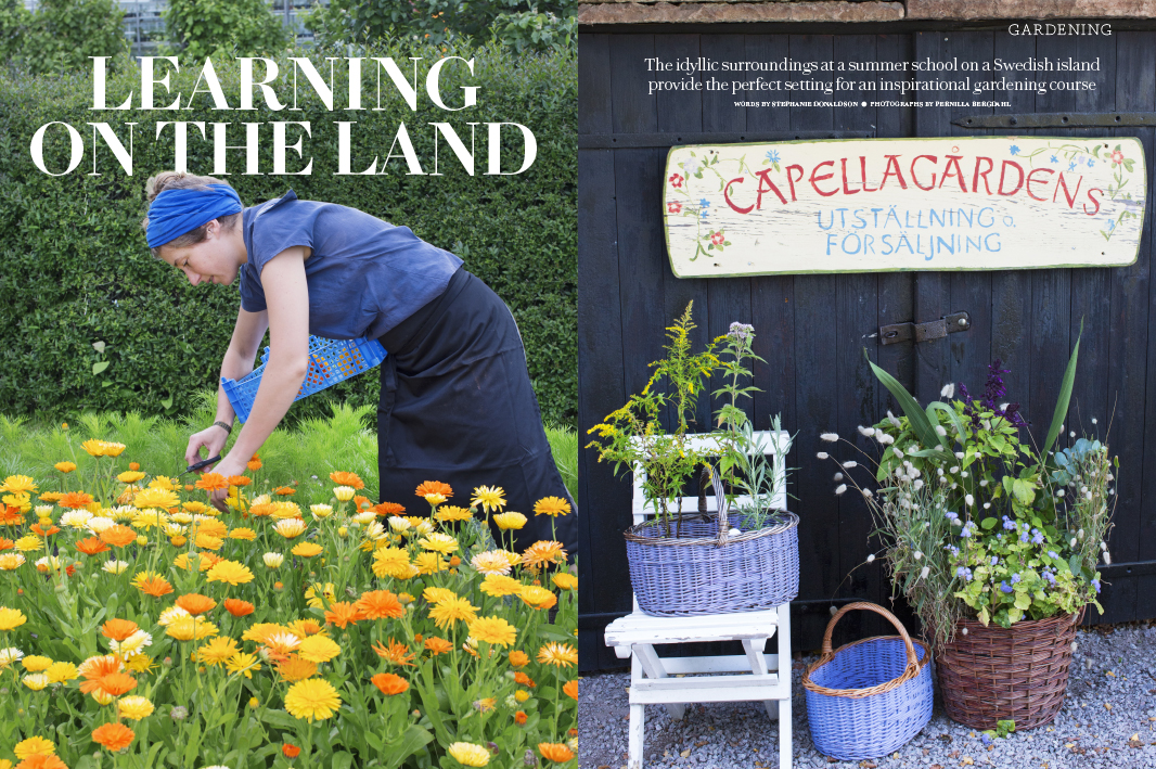 Country Living Magazine − Learning on the land